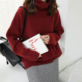 Ilona | Oversized Turtleneck Sweater